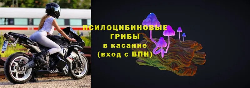 Галлюциногенные грибы мицелий  Кумертау 